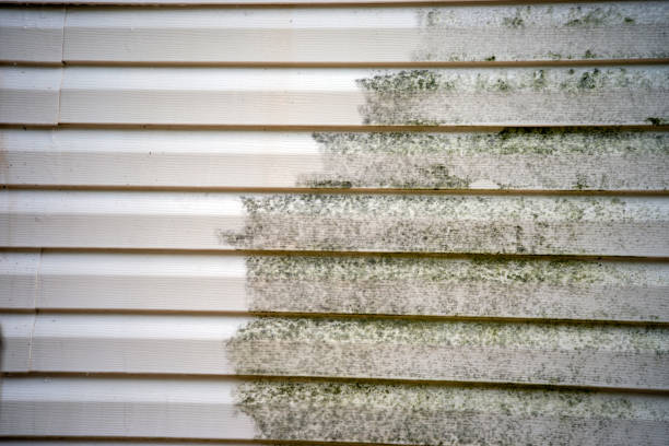 Best Stucco Siding  in Vauxhall, NJ
