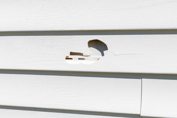 Best Custom Siding Design  in Vauxhall, NJ